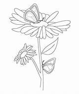 Free Printable Coloring Pages  Botanical PaperWorks sketch template