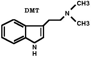 Raven's Mysterious Haven: DMT -- The cryptid molecule?