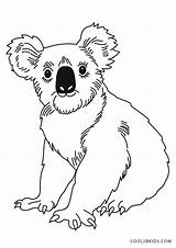 Free Printable Koala Coloring Pages For Kids sketch template