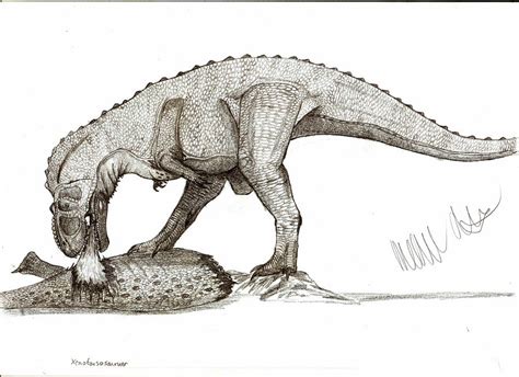 Xenotarsosaurus Pictures & Facts - The Dinosaur Database