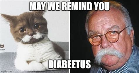 Wilford Brimley Cat - Imgflip