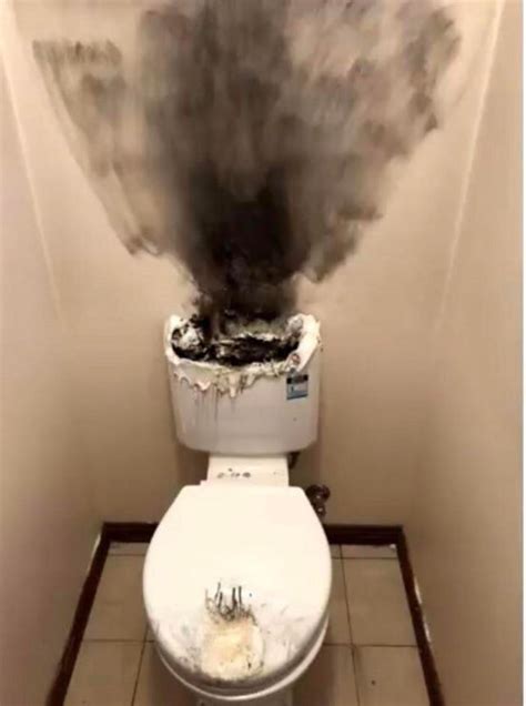 The toilet after I eat taco bell : r/memes