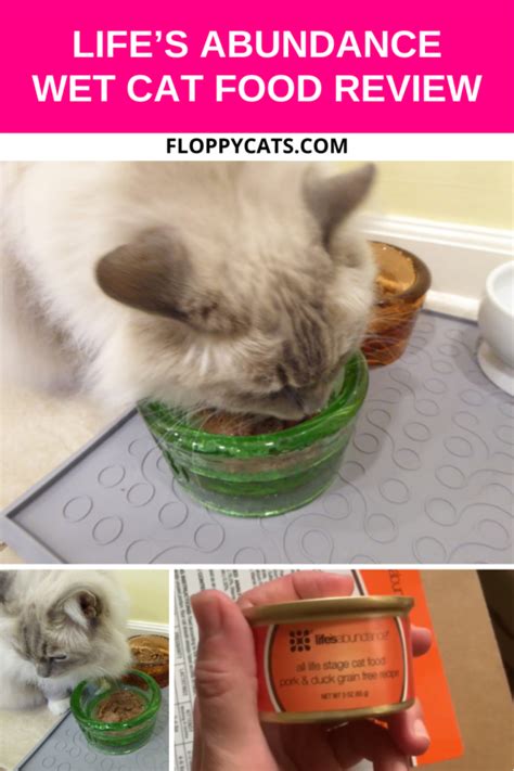 Life’s Abundance Wet Cat Food - Floppycats™