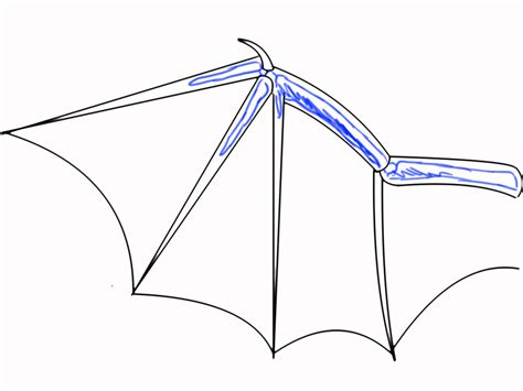 How To Draw Dragon Wings Folded
