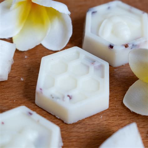 Frangipani & Coconut Natural Soy Wax Melts Gifts. Vegan Home | Etsy