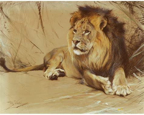 Male lion art print Lion painting Vintage wildlife art | Etsy