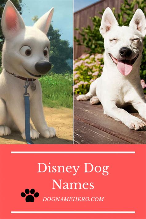 Disney Dog Names | All Disney Dogs - Dog Name Hero