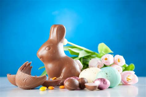 Rabbit Chocolate · Free Stock Photo