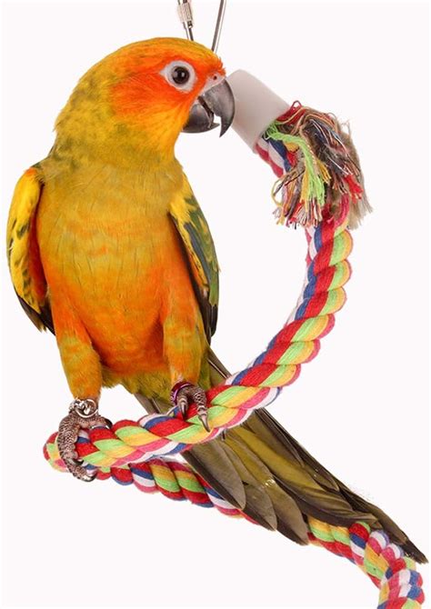 ASOCEA Bird Rope Bungee Toy With Bell Cotton Parrot Spiral Swing Climbing Cage Standing Perch ...