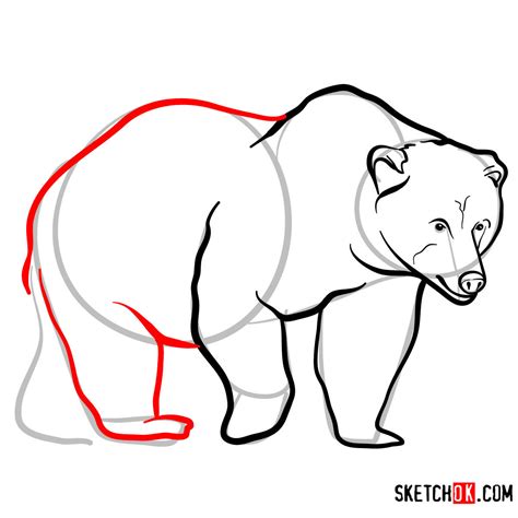 How to draw a Brown bear | Wild Animals - Sketchok easy drawing guides