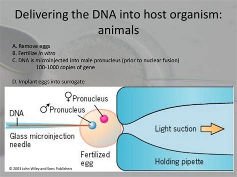 Transgenesis