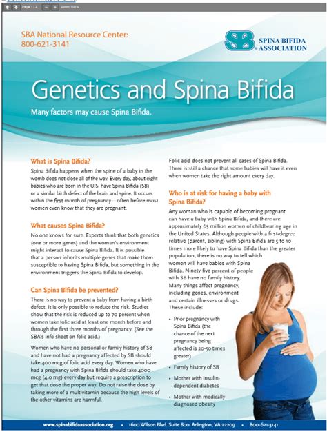 Genetics and Spina Bifida - Spina Bifida Association