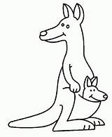 31 Kangaroo Coloring Pages For Kids Free PDF Printables sketch template