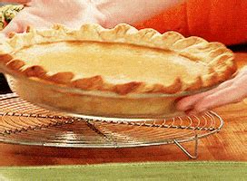 Pumpkin Pie GIF - Find & Share on GIPHY