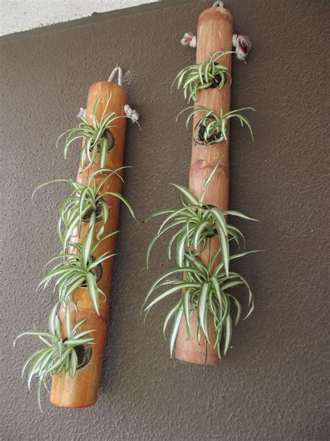 Santiago | Santiago De Chile | Bamboo planter, Bamboo decor, Bamboo garden