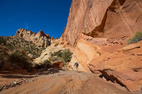 Hike in Utah stock image. Image of america, beautiful - 260978635