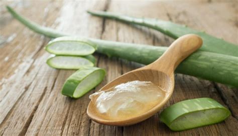 Aloe Vera For Skin Whitening: Effects And Uses | Jiji Blog