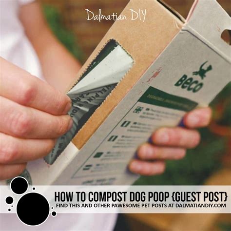 Can You Put Dog Poop Into Compost at Beverly Pettis blog