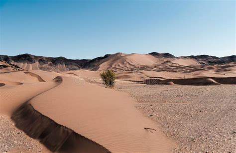 The Shape of Sand Dunes in Lut Desert Stock Photo - Image of mountain, hill: 166684032