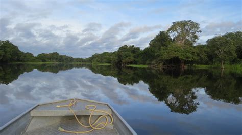 Free Images : nature, forest, boat, lake, river, canal, canoe ...