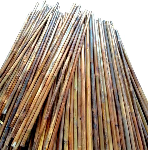 Rattan Cane Bamboo Flexible Sticks for Martial Arts at Rs 180/piece | Cane And Bamboo in ...