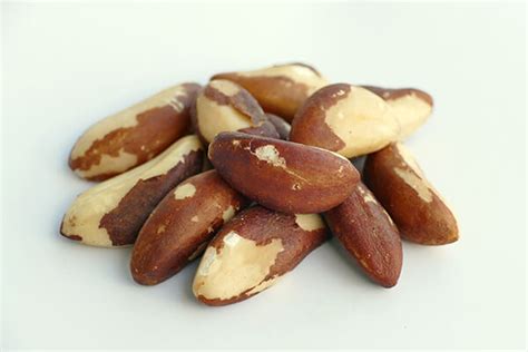 Brazil Nuts and Selenium - anuts.com