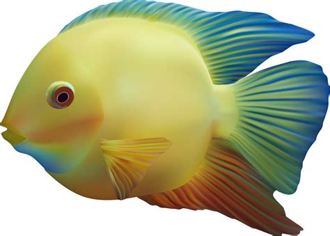 Download Exotic Fish Png Clipart - Transparent Background Fish Png PNG ...