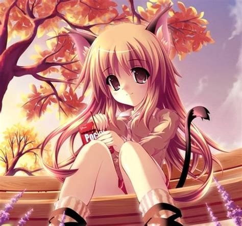 Autumn Doll, bench, autumn, girl, orange, tree HD wallpaper | Pxfuel
