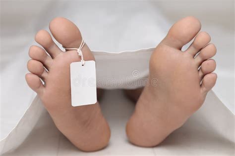 Shot Dead Woman Feet - Dead Woman Feet Images Stock Photos Vectors Shutterstock : 商界女強人拍攝的真絲連衣裙 ...