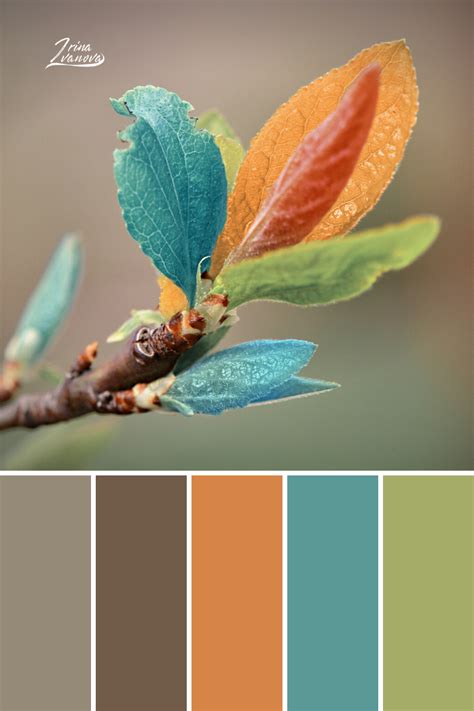 Color palette combinations design | Nature color palette, Color palette design, Orange color ...