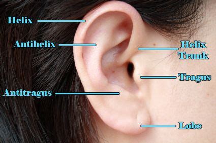 Ear Piercing Pain Chart Helix