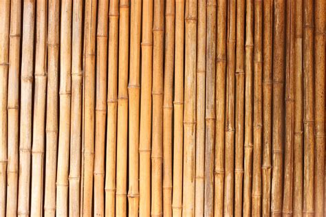 Bamboo Wood Texture