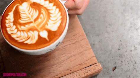 Pumpkin Spice Lattes GIF - ReasonsToGetExcitedForFall Fall Autumn - Discover & Share GIFs