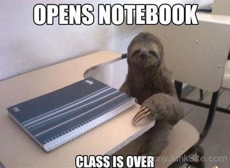 Funny Sloth Pictures » Class Is Over