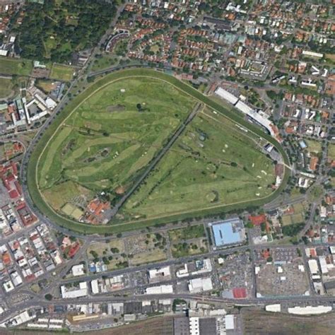 Greyville Racing News - Punters.com.au