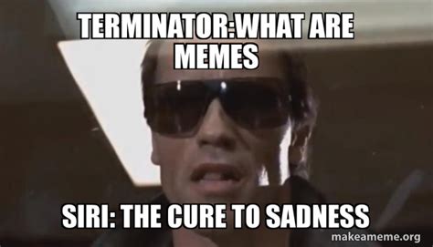 terminator:what are memes siri: the cure to sadness - The Terminator Meme Generator