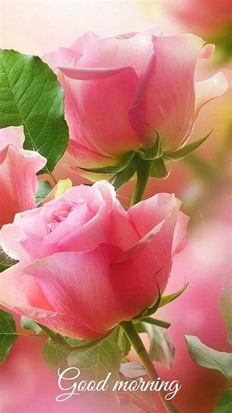 Good Morning with Lovely Flower Quotes - Good Morning Fun