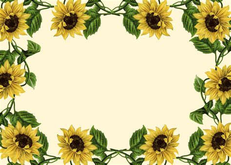 Printable Sunflower Border - Printable Word Searches