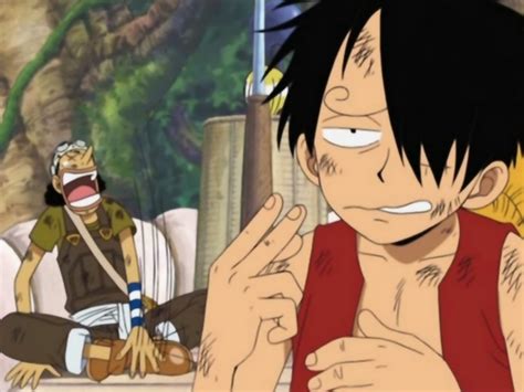 My life, My rule, My history.: Luffy Funny face