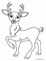 Free Printable Deer Coloring Pages For Kids  Cool2bKids sketch template