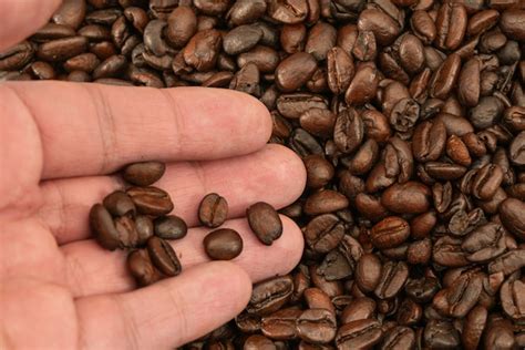 Premium Photo | Roasted coffee beans background