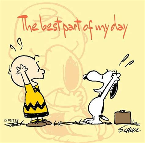YOU Snoopy Quotes, Dog Quotes, Funny Quotes, Peanuts Quotes, Charlie Brown Quotes, Charlie Brown ...