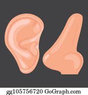 900+ Ear And Nose Clip Art | Royalty Free - GoGraph