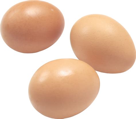Eggs PNG image