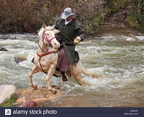 Horse rearing cowboy hi-res stock photography and images - Alamy