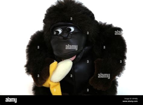 Gorilla Eating Banana Stock Photo - Alamy