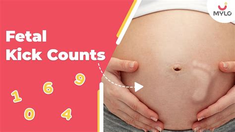 How To Do Kick Counts In Pregnancy In Hindi? | How To Read Fetal Kick Counts Chart | Mylo Family ...