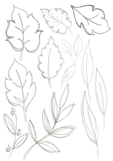 30+ Simple Leaf Drawing Ideas - How To Draw Leaf? - HARUNMUDAK