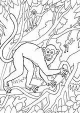 Free & Easy To Print Monkey Coloring Pages  Tulamama sketch template