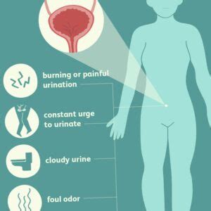 Urinary Tract Infection (UTI) During Pregnancy - Santripty